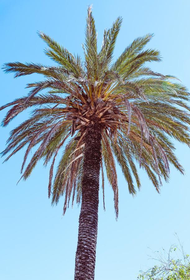 Casa Elizabeth Villa Javea Dış mekan fotoğraf